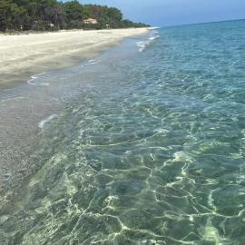 Les pieds dans l eau de Betty Ghisonaccia plage 50 m