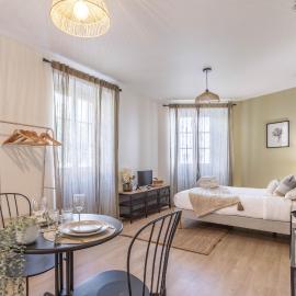 Le Hounau - Studio centre ville Pau, tout équipé, hotell i Pau