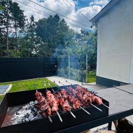 Fir Tree Villa: Kişinev'de bir otel