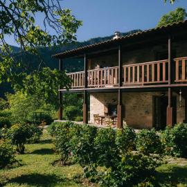 Meteora Mountain Stonehouse with Private Garden, hotel en Kleinón