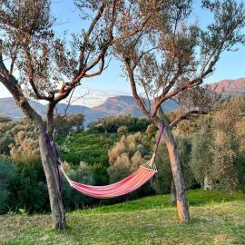 Whisper of Olives - 5 Min Drive to the Old Town, Bar