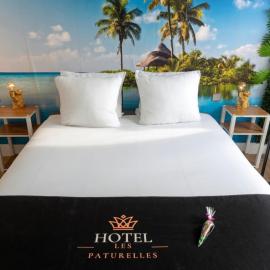Hôtel les Paturelles, hotel v destinaci Avesnelles