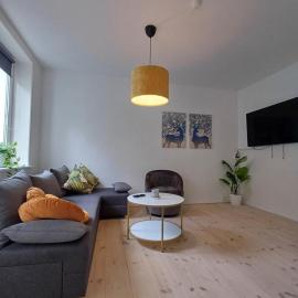 Charming 2 bedroom apartment free parking, hotel Hjørringben