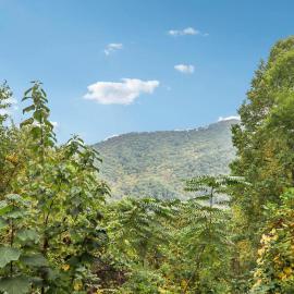 Mountain Views & Hot Tub - Your Blue Ridge Getaway, Hotel in Weaverville