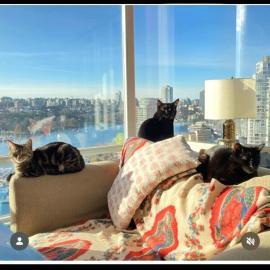 Cat-stle In The Sky