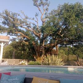 Maison 120 m2, piscine chauffée, en bordure de forêt, Hotel in Mios