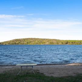 Sandy Shores Cabin on Lake St Peter with Fire Pit and BBQ, hotel em Lake Saint Peter