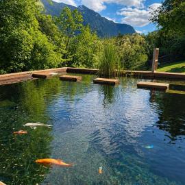 L'Aiglon- Piscine Naturelle Privatisable