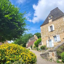Domaine de Bagnegrole, hotel in Saint-Cyprien