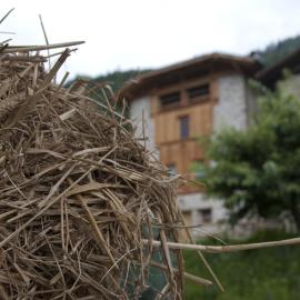 Agricampeggio Ai Gaggi, hotel en Pellizzano