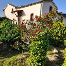 Borgo de' Muracci, hotel em Ribolla