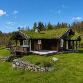 Cosy mountain cabin in Golsfjellet, hotel i Gol