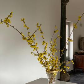 Kirisavan Loft, hotel en Borgloon