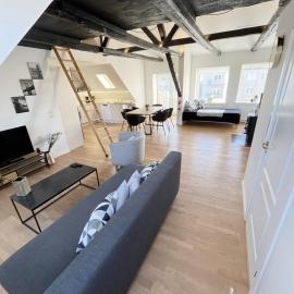 Central Luxus Apartment Free Private Parking