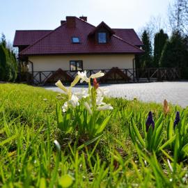 Willa Faustynka, hotel in Nałęczów