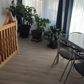 Ferienhaus Vogel bei Haßgebirge