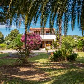 Palm Tree Villa, hotel in Nea Skioni