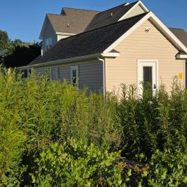 Garden Guest Cottage, hotel in Harrisonburg