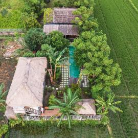 Mantra Yoga Homestay