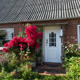 Ostseekoje-Ewig, gemütliche Ferienwohnung in ruhiger Lage, Hotel in Stoltebüll