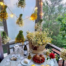 Azure & Zest Suites