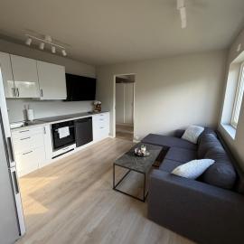 Discover Lofoten from this cosy apartment!