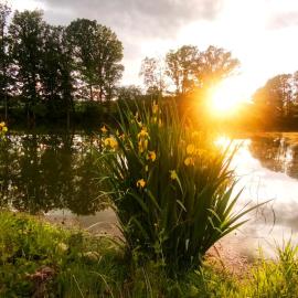 Špulka Hideaway - Romantic Forest Escape near Prague
