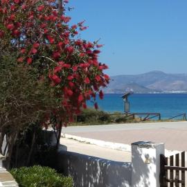 Beachfront Family Home, Filitsa House