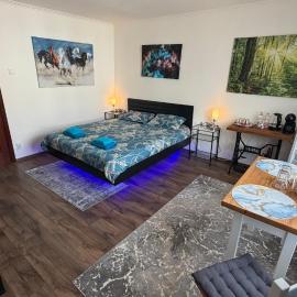 Alio Room Campulung Moldovenesc