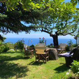 My kind of paradise ! ! Pelion, hotel in Mouresi