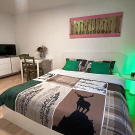 Charmantes Studio, hotel a Solothurn