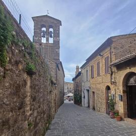 IL PALAZZO DEL CARDINALE