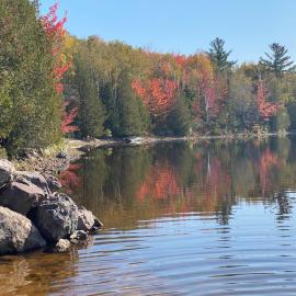 Oak Glade RV site, hotell i Westfield Beach