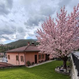 B&B Il Tralcio