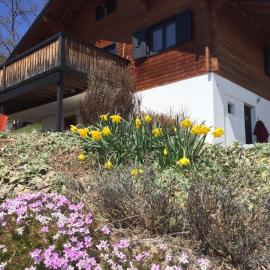 Cozy chalet with panoramic views in Leysin