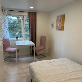 Wooden house apartment 1 km from river