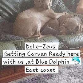 8 Berth Caravan at Blue Dolphin East coast