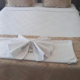 Şirince otel, hotel in Amasya