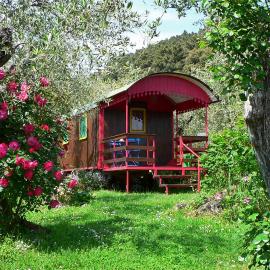 Azienda agricola e Caravan della Mezzaluna, hotel in Stiava