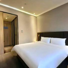 Hanting Premium Hotel Hefei Qingxi Road Anhui Agricultural University