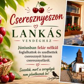 Lankás Vendégház - Hollókő: Hollókő şehrinde bir otel