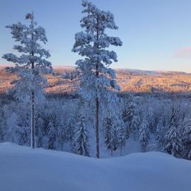 Mysig lägenhet med fjällutsikt i Sälen