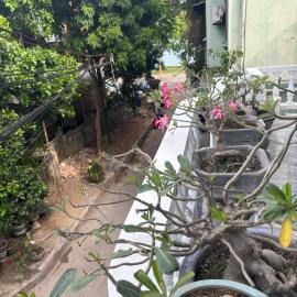 A T Homestay