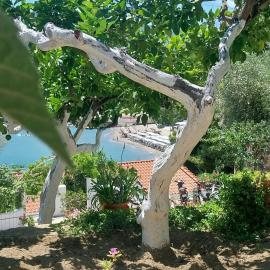 Sea View Garden, hotel in Poros
