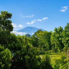 Adyara Homestay