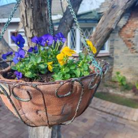 BEE-autiful Stay SC Garden Cottages, hotel in Bloemfontein