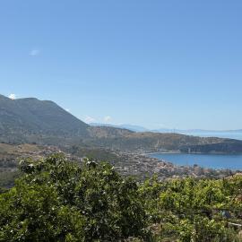 Himara Olive House
