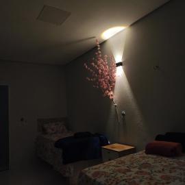 Pousada Flores da Serra, hotel u gradu Martins