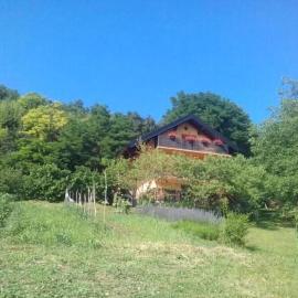 Apartman Potocki