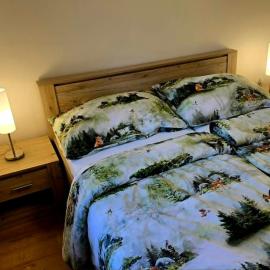 Zahradní domek Borovinka, hotel in Hradec Králové